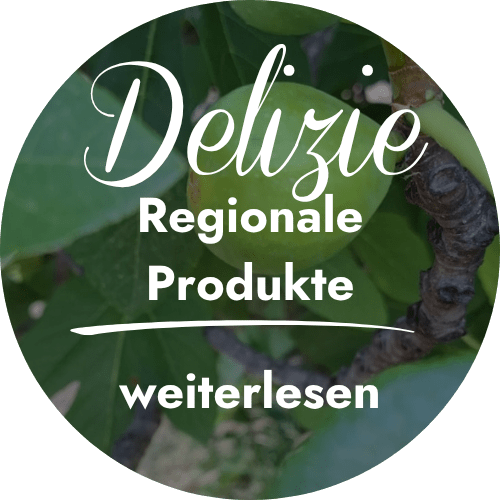 Runde Grafik mit Feigenbaum-Blättern und Text über regionale italienische Delikatessen