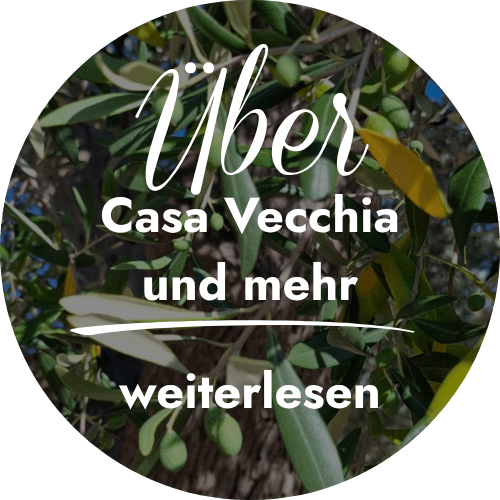 Olivenzweig mit Schriftzug über Casa Vecchia und mehr weiterlesen